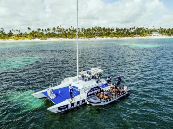 Discover Saona Island - Image 5